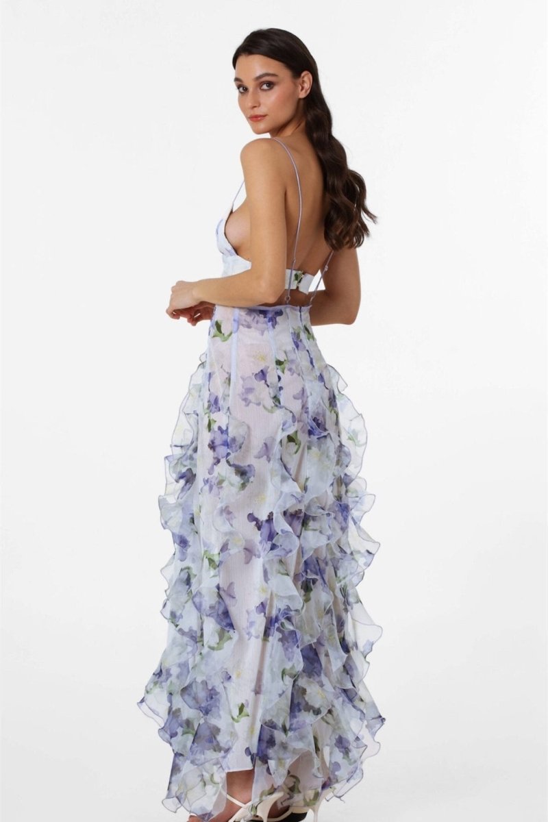 Alxia Ruffle Sheer Maxi Dresse