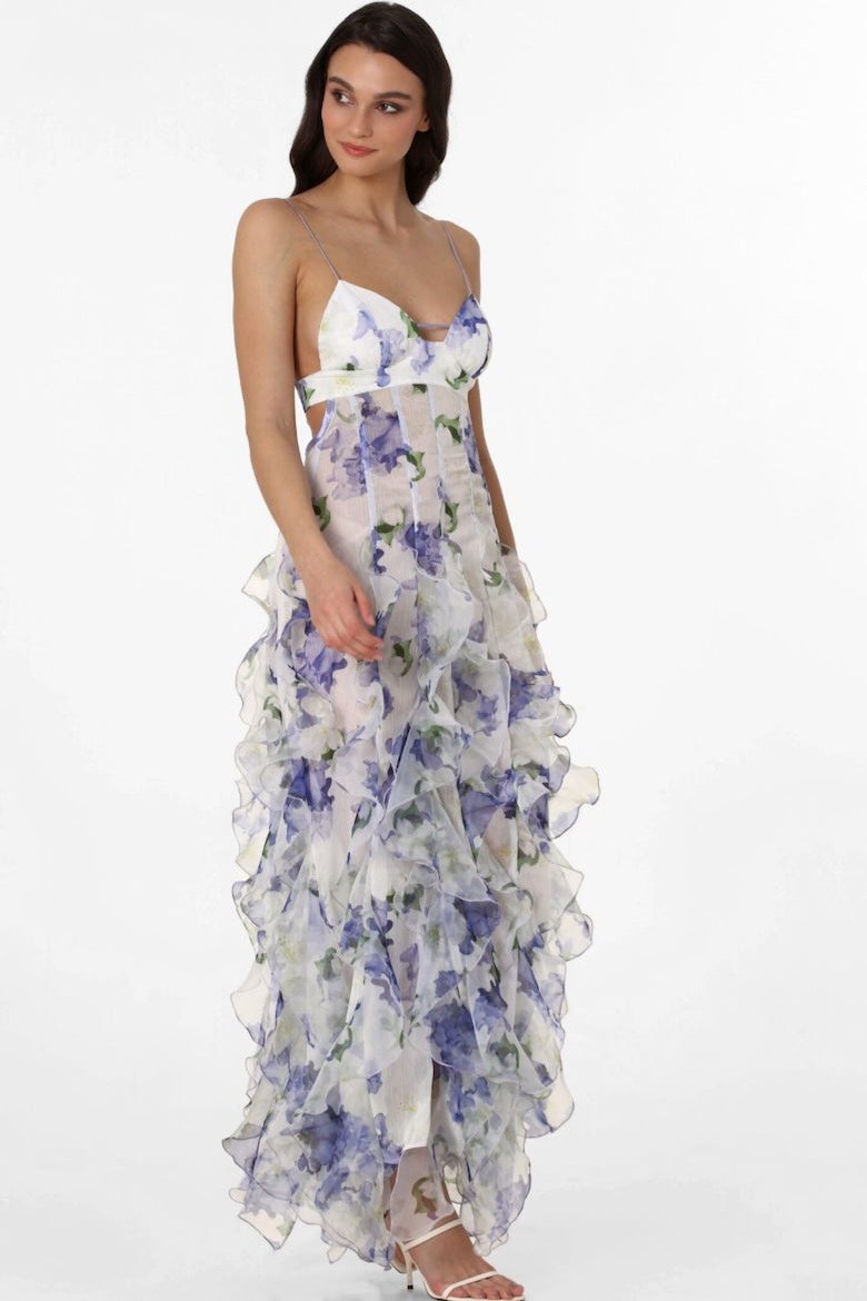 Alxia Ruffle Sheer Maxi Dresse