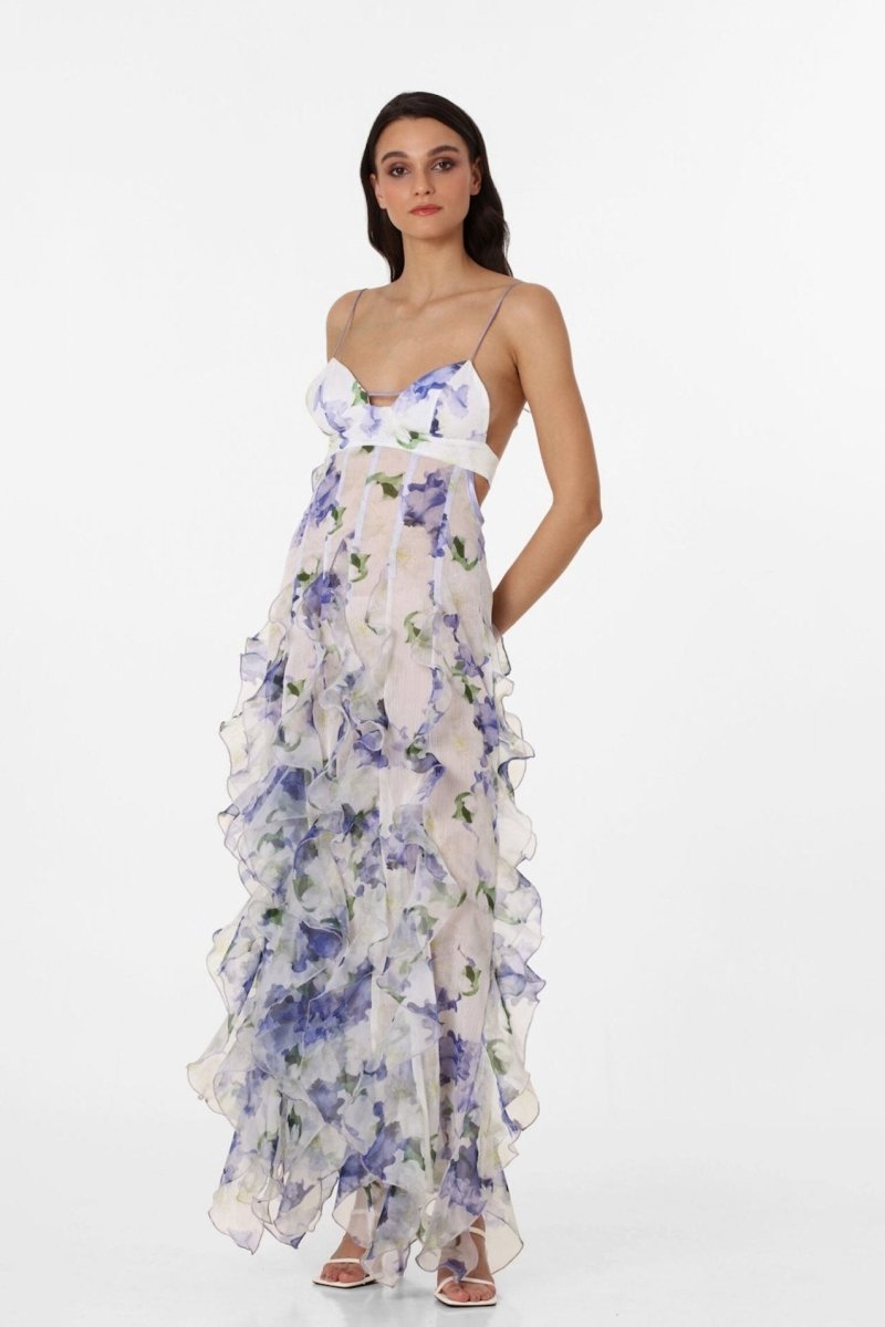 Alxia Ruffle Sheer Maxi Dresse