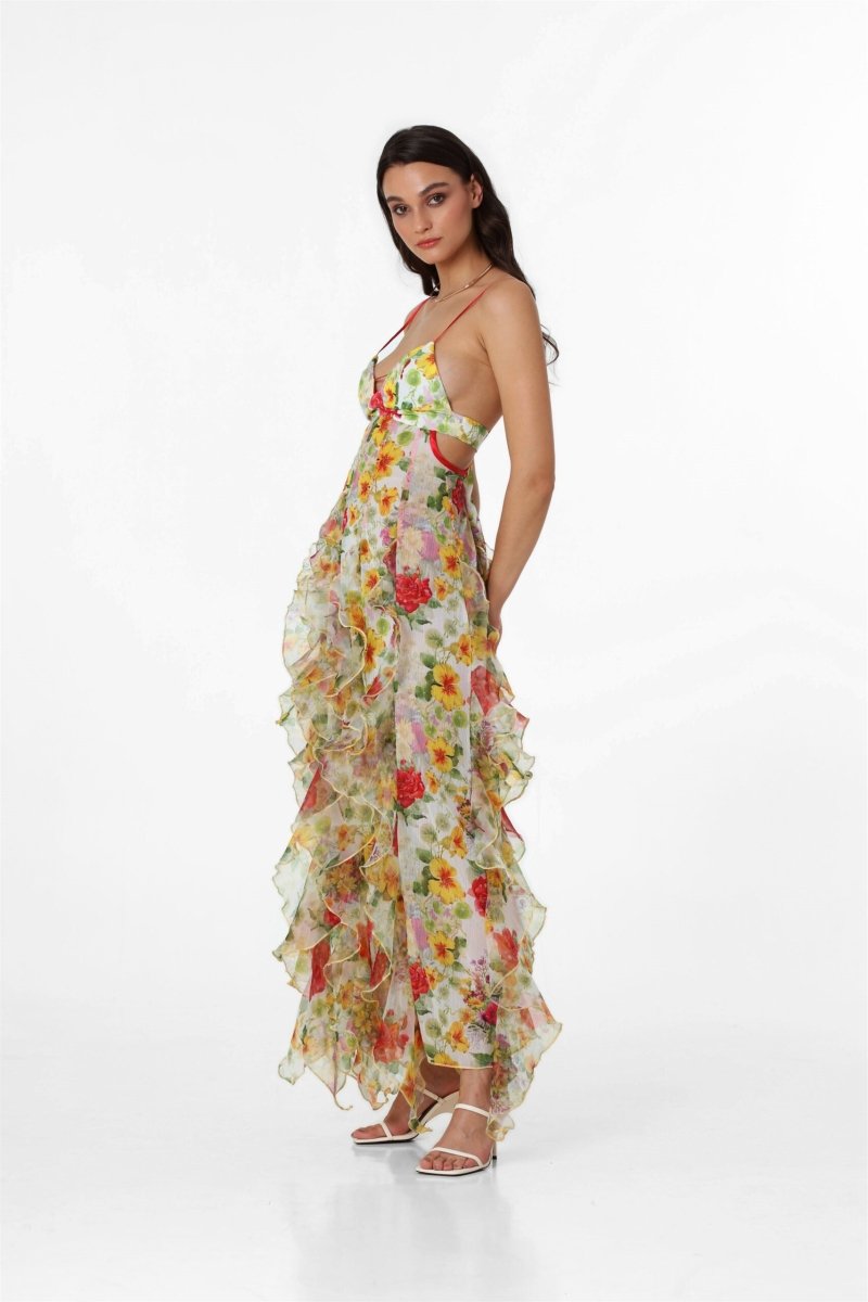 Alxia Ruffle Sheer Maxi Dresse